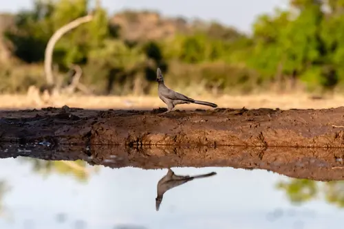 Southern Africa Reloaded - Part2: Botswana