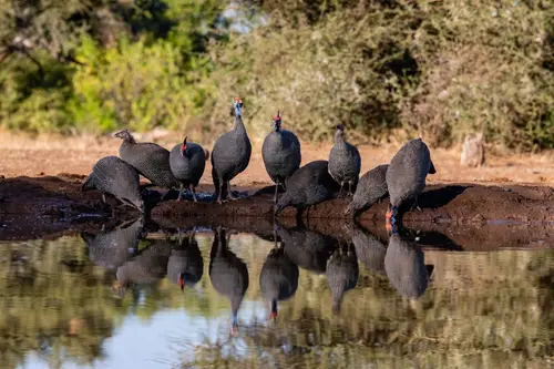 Southern Africa Reloaded - Part2: Botswana
