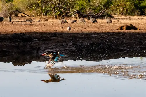 Southern Africa Reloaded - Part2: Botswana