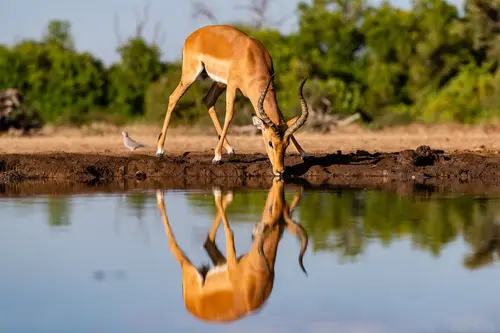 Southern Africa Reloaded - Part2: Botswana