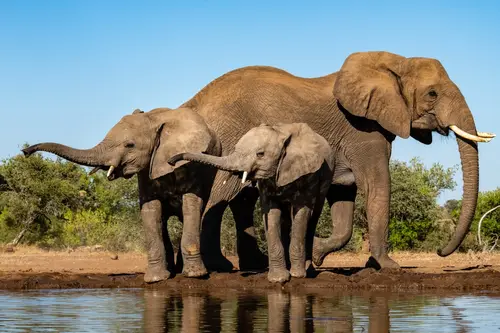 Southern Africa Reloaded - Part2: Botswana