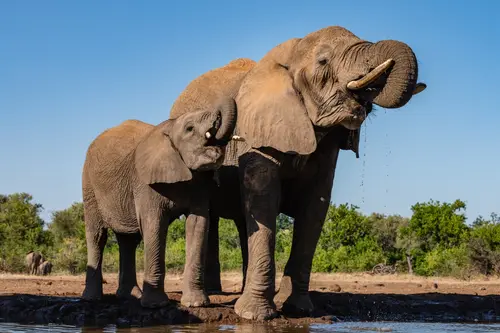 Southern Africa Reloaded - Part2: Botswana