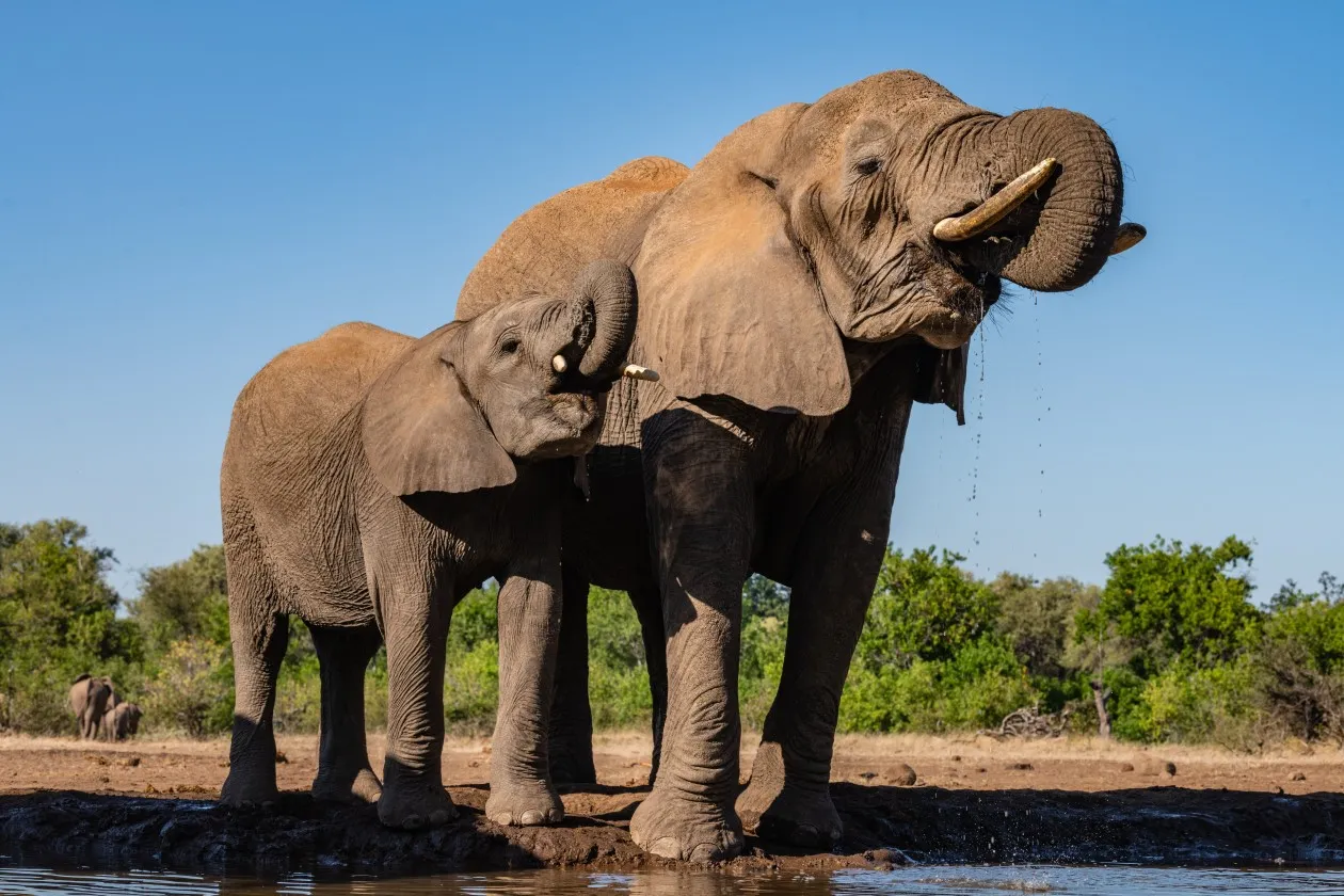 Southern Africa Reloaded - Part2: Botswana