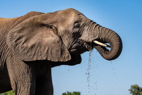 Southern Africa Reloaded - Part2: Botswana