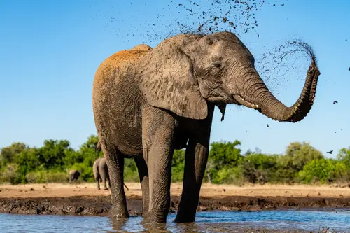 Southern Africa Reloaded - Part2: Botswana