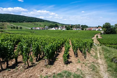 Northern France - Part1: Dijon